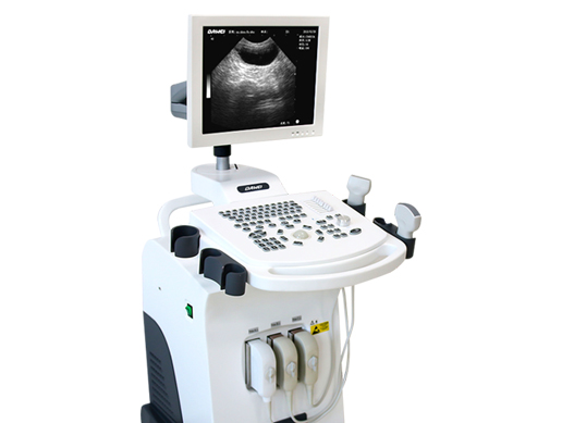 兽用B超机-全数字动物宠物超声诊断仪